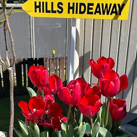 فندق دارغافيلفي  Hill'S Hideaway المظهر الخارجي الصورة
